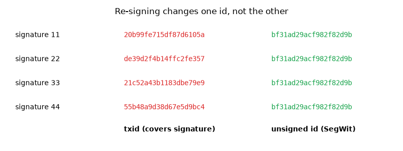 Re-signing changes one id, not the other