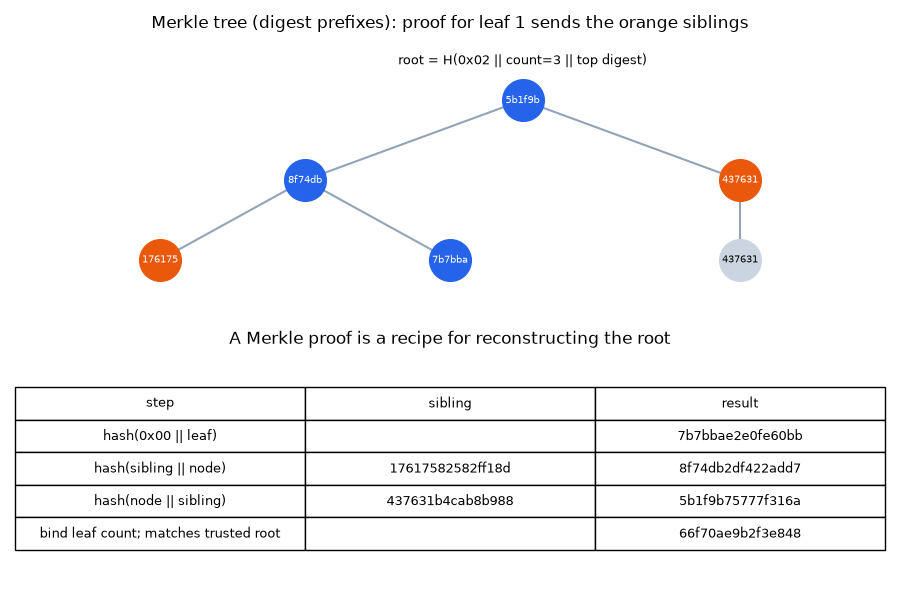Merkle tree (digest prefixes): proof for leaf 1 sends the orange siblings, A Merkle proof is a recipe for reconstructing the root