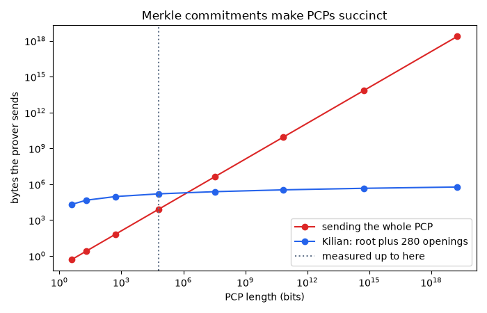 Merkle commitments make PCPs succinct