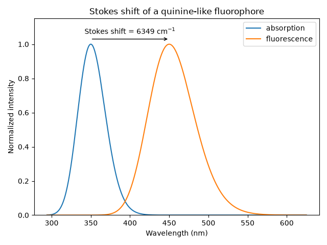 Stokes shift of a quinine-like fluorophore