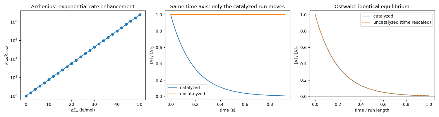 Arrhenius: exponential rate enhancement, Same time axis: only the catalyzed run moves, Ostwald: identical equilibrium