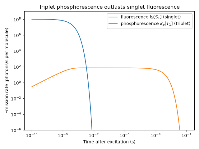 Triplet phosphorescence outlasts singlet fluorescence