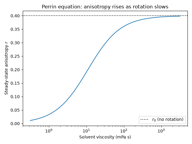 Perrin equation: anisotropy rises as rotation slows