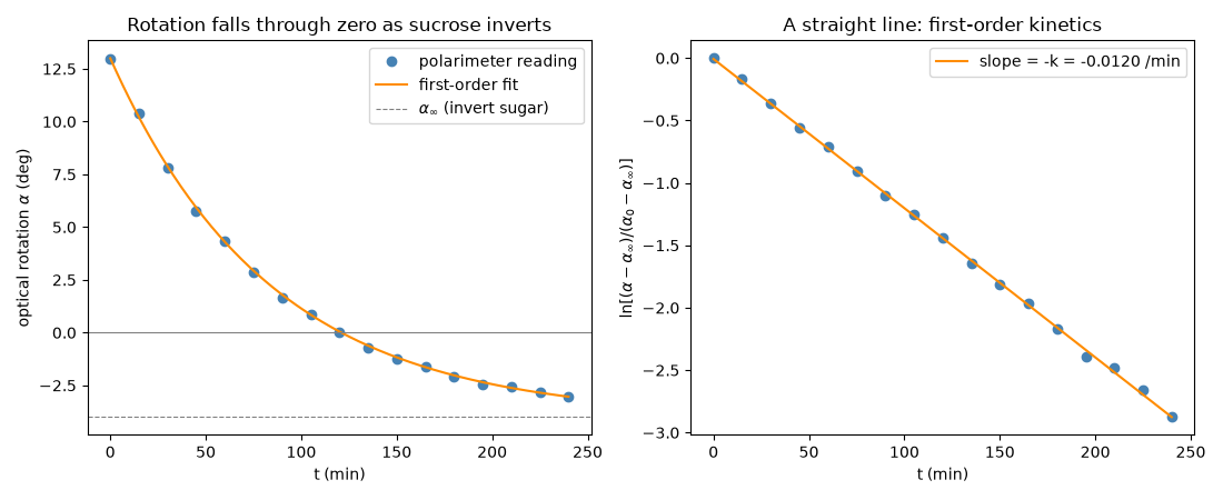 Rotation falls through zero as sucrose inverts, A straight line: first-order kinetics