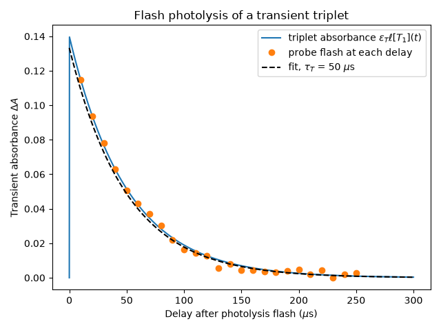 Flash photolysis of a transient triplet