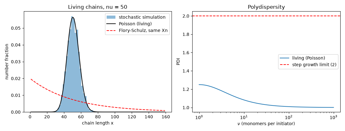Living chains, nu = 50, Polydispersity