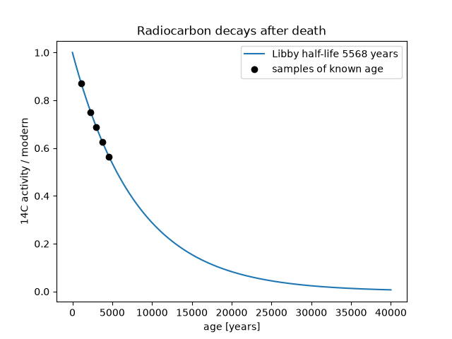 Radiocarbon decays after death