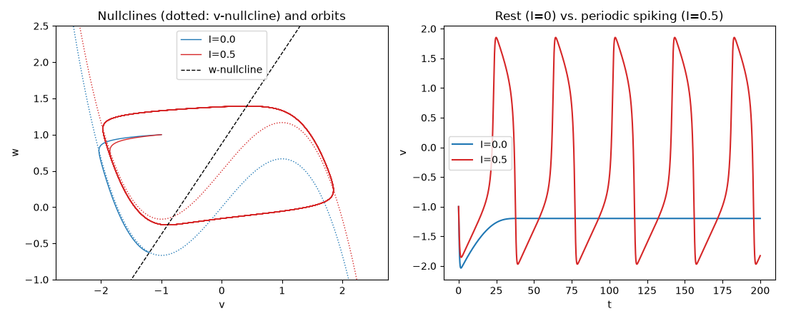 Nullclines (dotted: v-nullcline) and orbits, Rest (I=0) vs. periodic spiking (I=0.5)