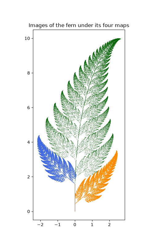 Images of the fern under its four maps