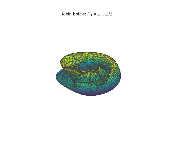 Klein bottle: $H_1 = \mathbb{Z} \oplus \mathbb{Z}/2$