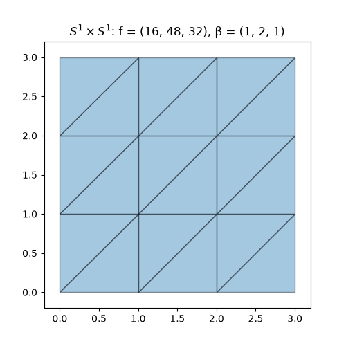 $S^1 \times S^1$: f = (16, 48, 32), β = (1, 2, 1)