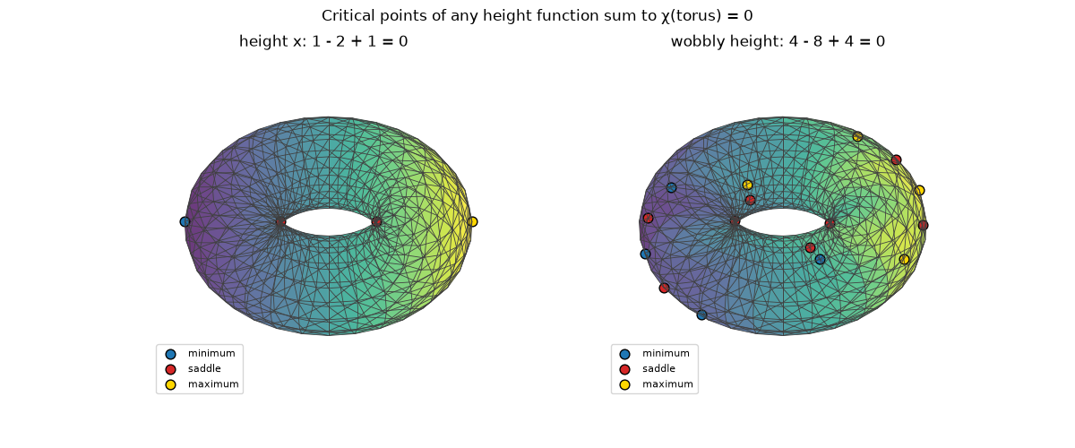 Critical points of any height function sum to χ(torus) = 0, height x: 1 - 2 + 1 = 0, wobbly height: 4 - 8 + 4 = 0