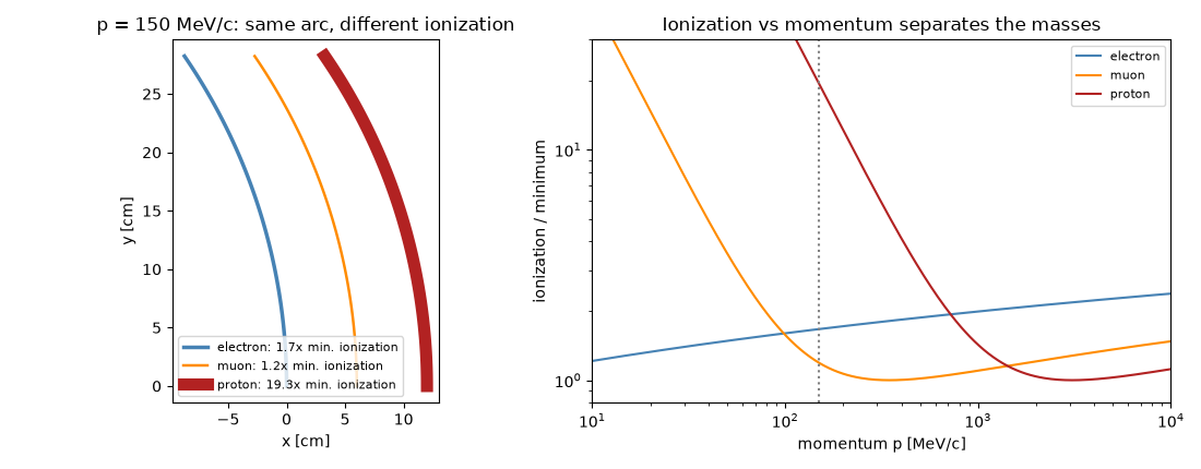 p = 150 MeV/c: same arc, different ionization, Ionization vs momentum separates the masses