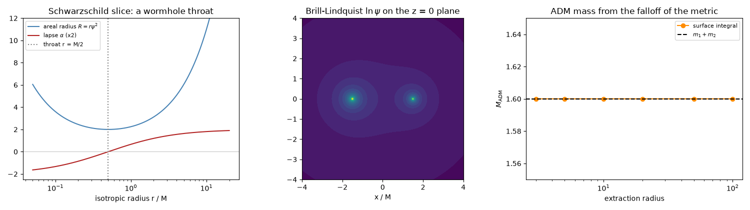 Schwarzschild slice: a wormhole throat, Brill-Lindquist $\ln\psi$ on the z = 0 plane, ADM mass from the falloff of the metric