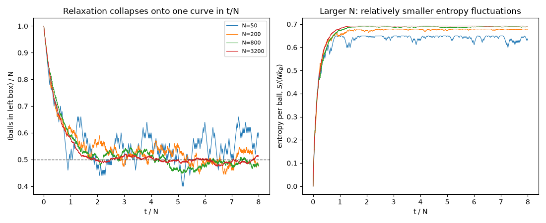 Relaxation collapses onto one curve in t/N, Larger N: relatively smaller entropy fluctuations
