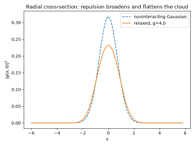 Radial cross-section: repulsion broadens and flattens the cloud