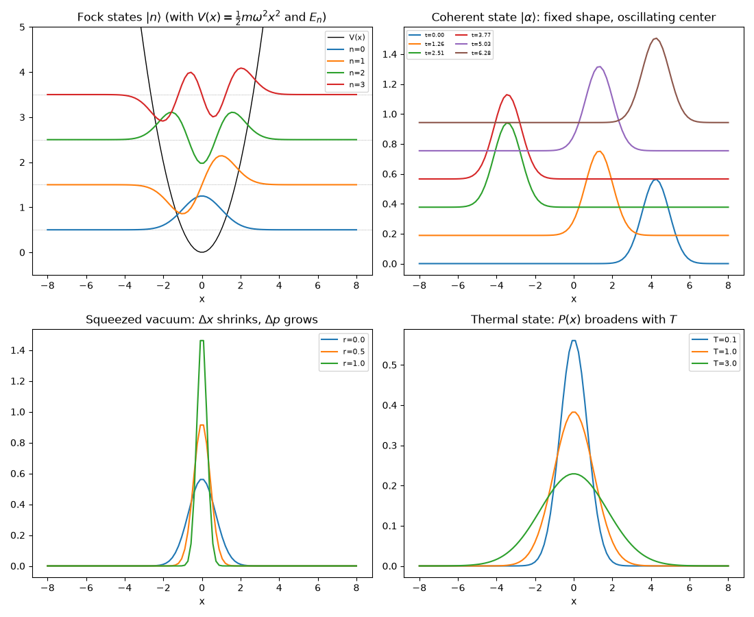 Fock states $|n\rangle$ (with $V(x)=\frac{1}{2}m\omega^2x^2$ and $E_n$), Coherent state $|\alpha\rangle$: fixed shape, oscillating center, Squeezed vacuum: $\Delta x$ shrinks, $\Delta p$ grows, Thermal state: $P(x)$ broadens with $T$