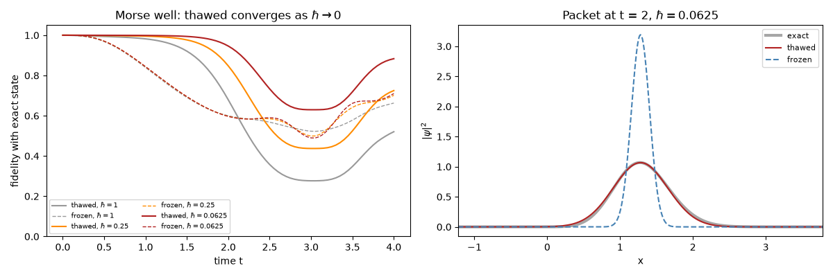 Morse well: thawed converges as $\hbar\to0$, Packet at t = 2, $\hbar = 0.0625$