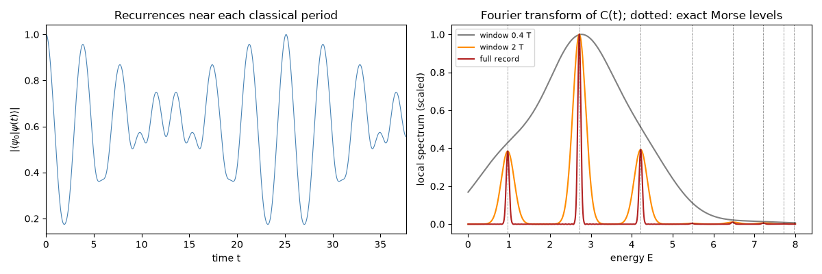 Recurrences near each classical period, Fourier transform of C(t); dotted: exact Morse levels