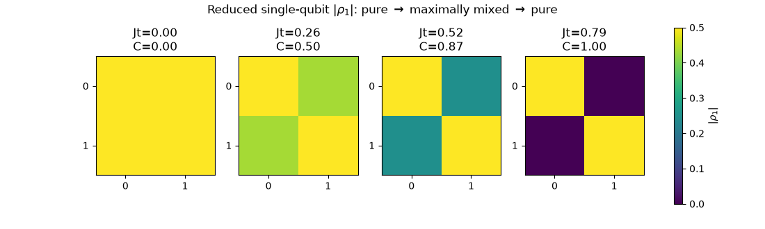 Reduced single-qubit $|\rho_1|$: pure $\to$ maximally mixed $\to$ pure, Jt=0.00 C=0.00, Jt=0.26 C=0.50, Jt=0.52 C=0.87, Jt=0.79 C=1.00