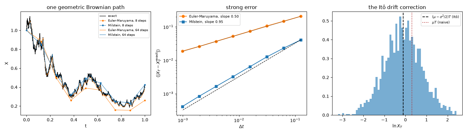 one geometric Brownian path, strong error, the Itô drift correction