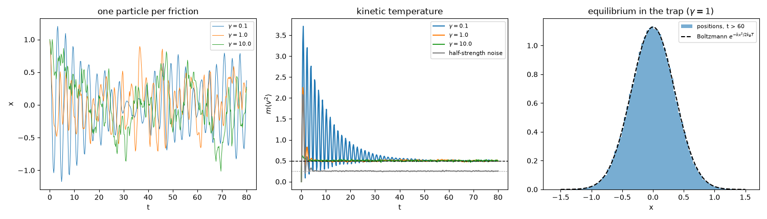 one particle per friction, kinetic temperature, equilibrium in the trap ($\gamma = 1$)
