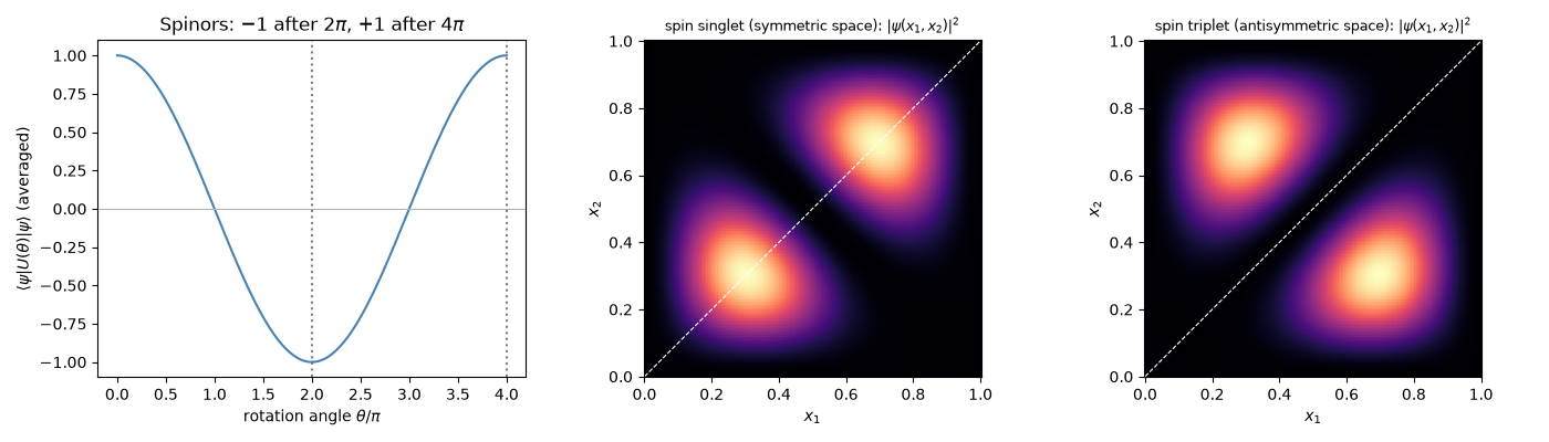 Spinors: $-1$ after $2\pi$, $+1$ after $4\pi$, spin singlet (symmetric space): $|\psi(x_1,x_2)|^2$, spin triplet (antisymmetric space): $|\psi(x_1,x_2)|^2$