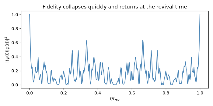 Fidelity collapses quickly and returns at the revival time