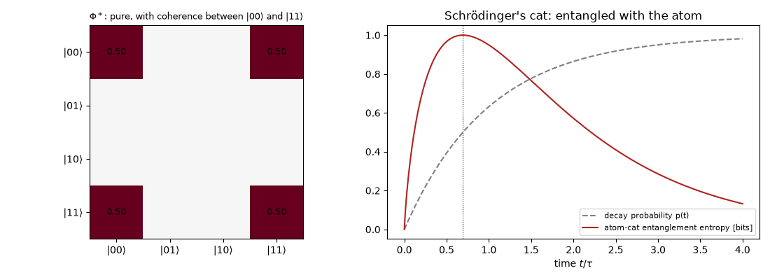 $\Phi^+$: pure, with coherence between $|00\rangle$ and $|11\rangle$, Schrödinger's cat: entangled with the atom
