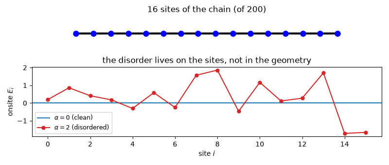16 sites of the chain (of 200), the disorder lives on the sites, not in the geometry